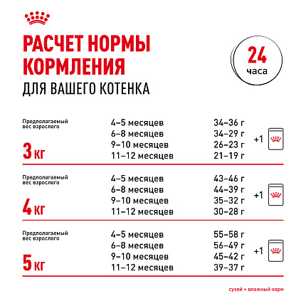 Royal Canin Persian Kitten Корм сухой сбалансированный для персидских котят (до 12 месяцев), 10 кг